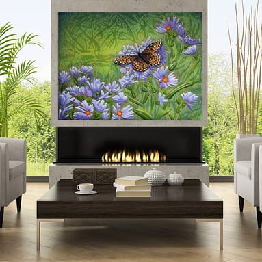 Butterfly on Blue Aster